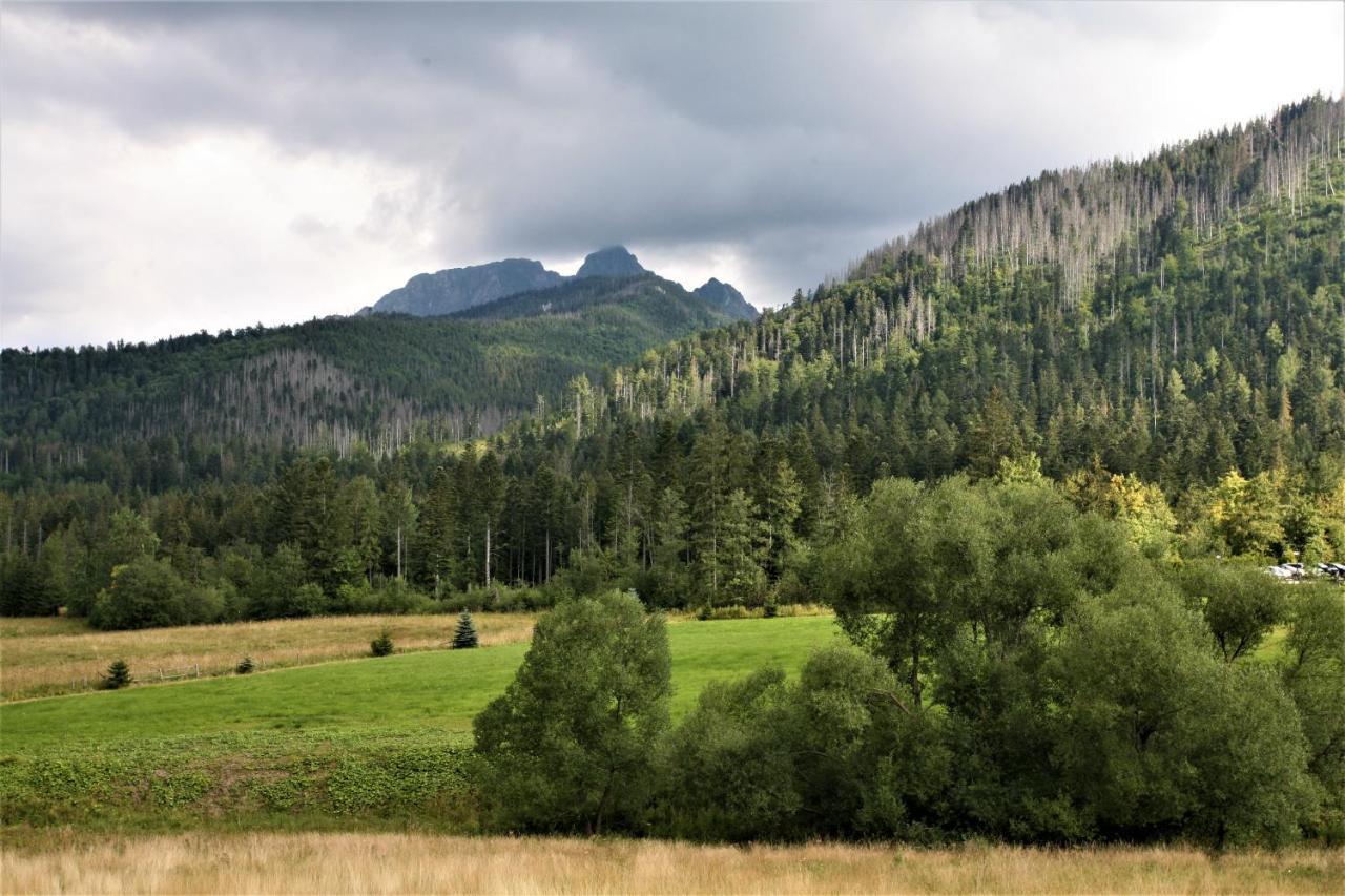 Tatra Rest Διαμέρισμα Kościelisko Εξωτερικό φωτογραφία